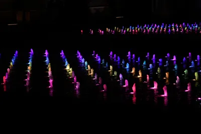 DSC_1693 (Large).JPG